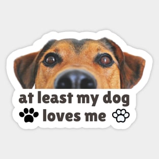 At least my dog loves me Sticker